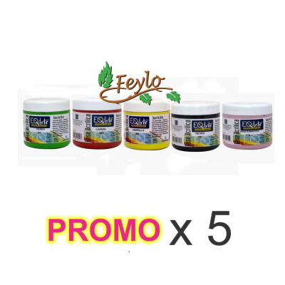 Promo Base Acrilica Eq  X 200 Cc X 5 Unidades