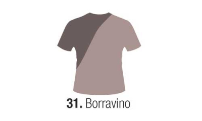 Eterna Pint.tela Borravino         250Ml
