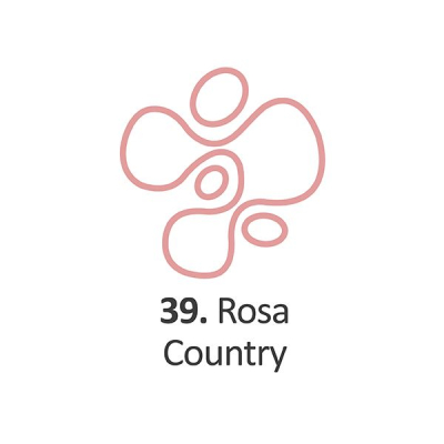 Pintura Dimensional Rosa Country   40Ml.