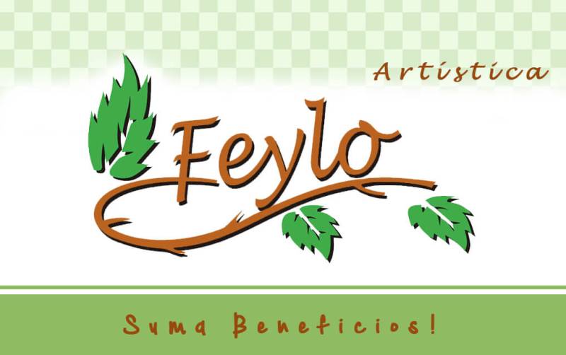 Tarjeta De Regalo Feylo X $80.000