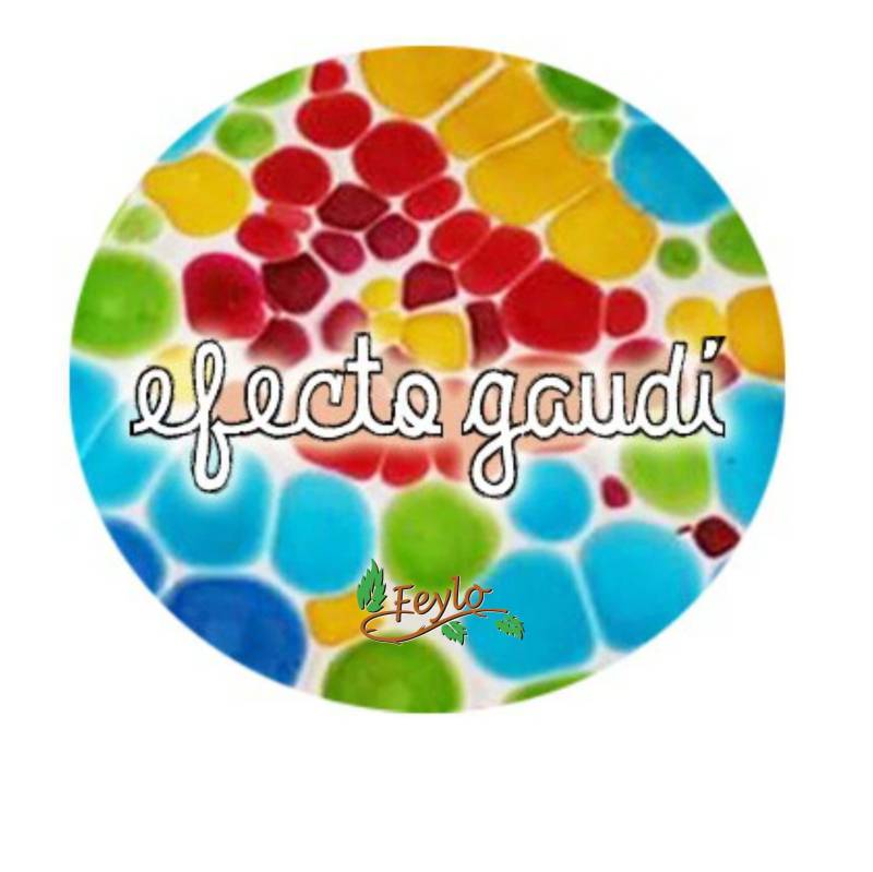 Efecto Gaudi Base Para Mosaico X 200