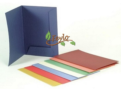 Carpeta Presentacion Color 200 Gr