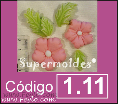 Flor X 2 Y Hojas