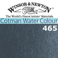 Cwc 8 Ml  Gris Payne 465