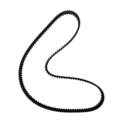 Correa S8M de incisor, 1168 x 20 mm  para Quadra