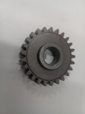 Engranaje Z25 para equipo Maggi, steff