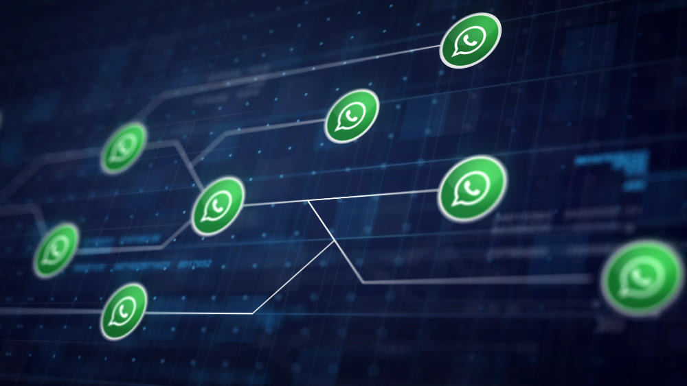 Desarrollos a Medida con WhatsApp