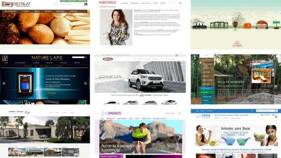 Actualice su Diseño Web con NetOne